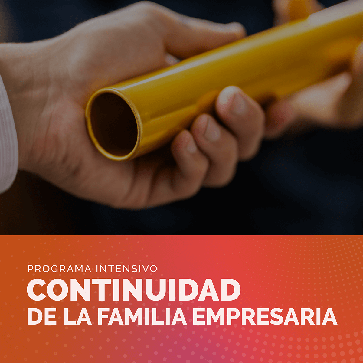 Programa Continuidad de la familia empresaria Justin Craig