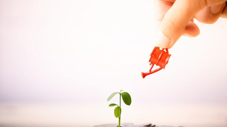 Estrategias de  crecimiento a través del  Corporate Venture Capital