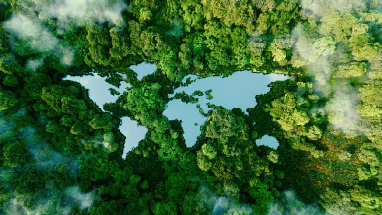 Trascender con propósito, lecciones de responsabilidad social desde la empresa familiar | Blog