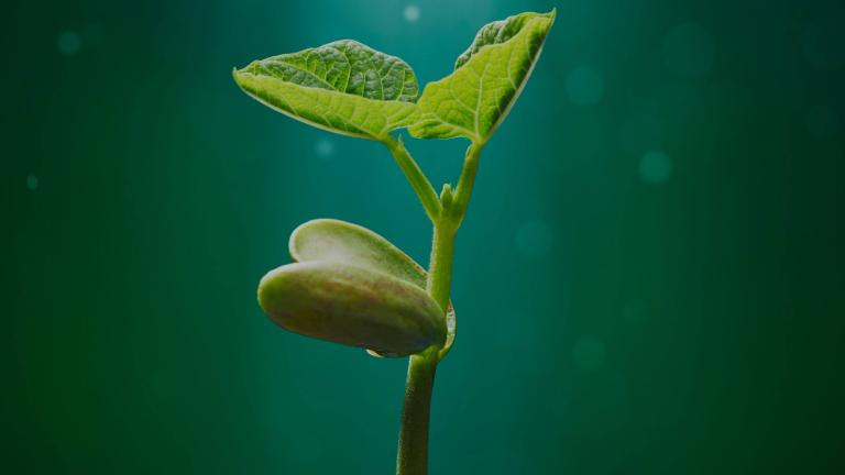 Competencia de emprendimiento familiar