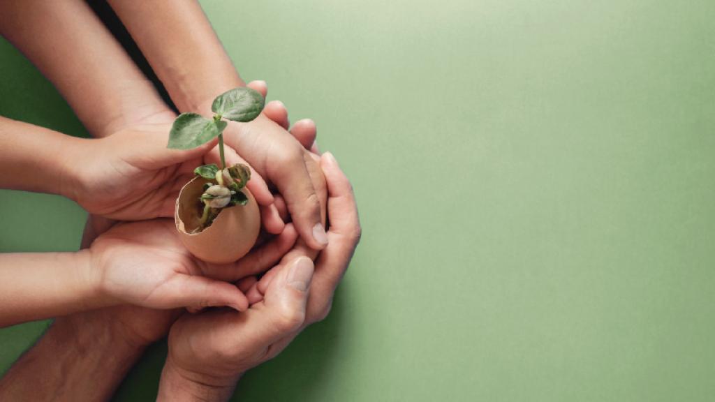 Más allá de las donaciones típicas: la revolución de la filantropía en Latinoamérica  | Blog