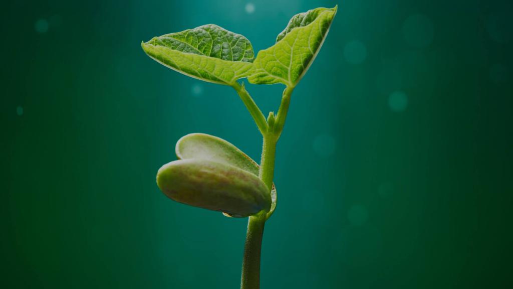 Competencia de emprendimiento familiar. ¿Por qué un mayor nivel nos conviene a todos? | Blog