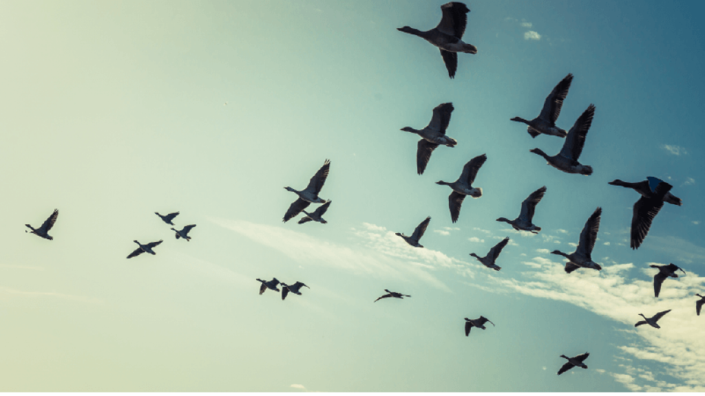 Cohesión y adaptabilidad, la fuerza oculta | Blog