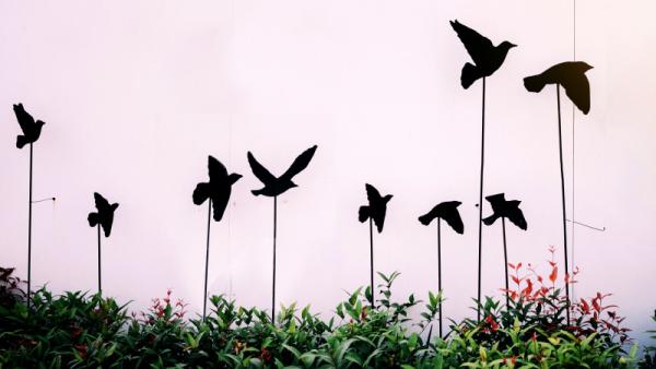 Dar transforma: generando sentido de propósito a través de la filantropía en la empresa familiar | Blog